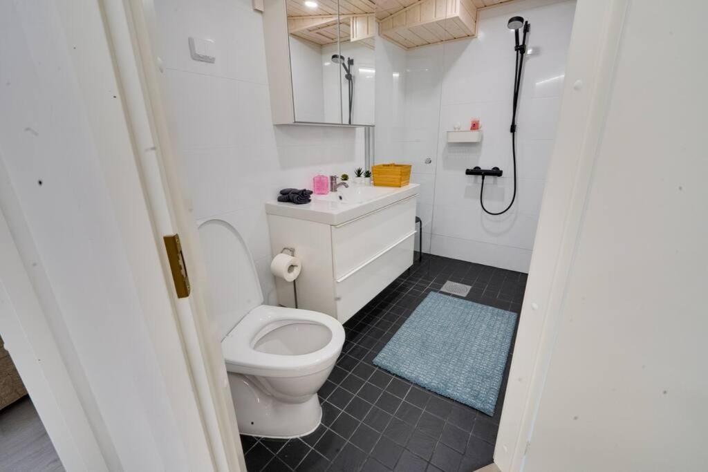 Appartement 3H,K,P - Keskellae Tamperetta Kaunis Parvekkeellinen Uusittu Kolmio Extérieur photo